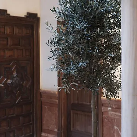 Premium With Rooftop In Centro Apartamento Sevilla